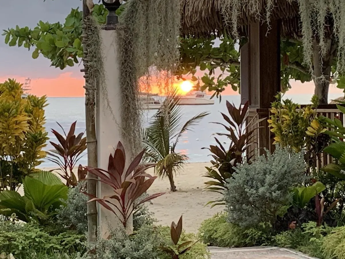Relax In Jamaica - Enjoy 7 Miles Of White Sand Beach! Villa 네그릴 0*,